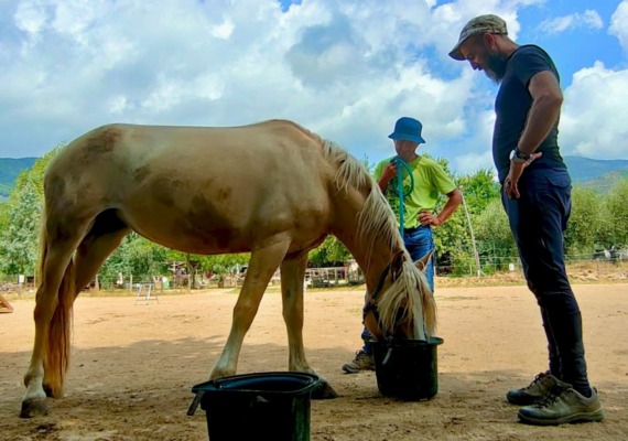EQUITAZIONE DI CAMPAGNA